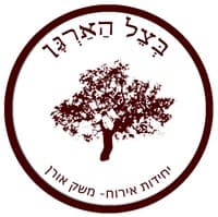 בצל הארגן